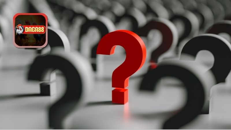 FAQ - Câu Hỏi Thường Gặp