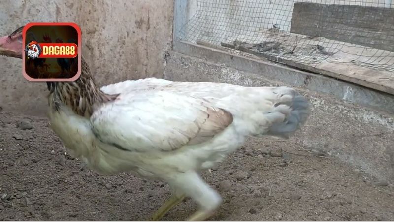 Cách Phòng Ngừa Và Ứng Phó