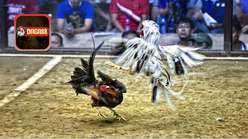 Tính toán và dự đoán đối thủ