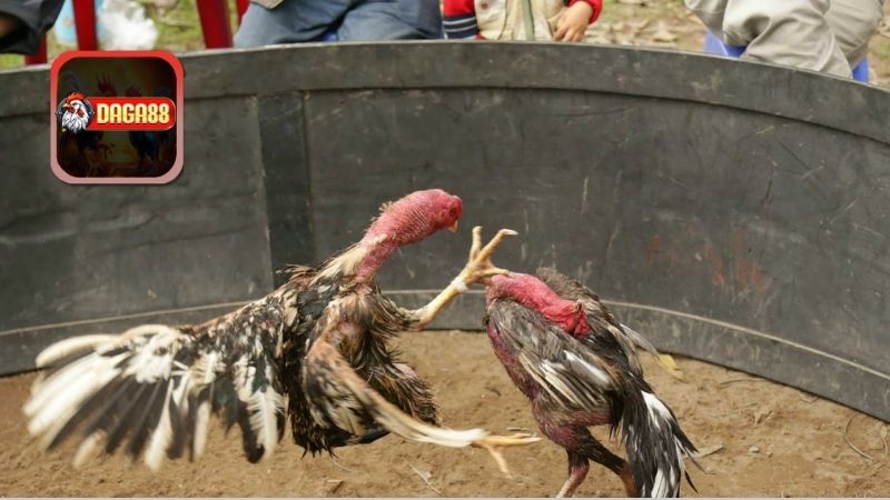 Giảm thiểu nguy cơ chấn thương